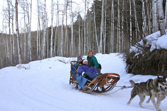 Winter-Carnival-2012-Aspen-Dog-Sled-5