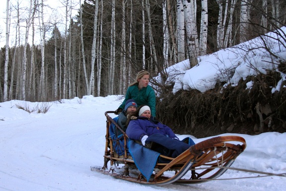 Winter-Carnival-2012-Aspen-Dog-Sled-7