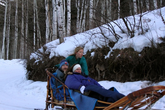 Winter-Carnival-2012-Aspen-Dog-Sled-8