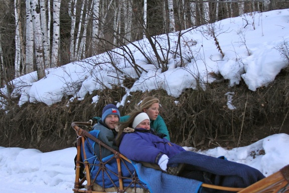 Winter-Carnival-2012-Aspen-Dog-Sled-9