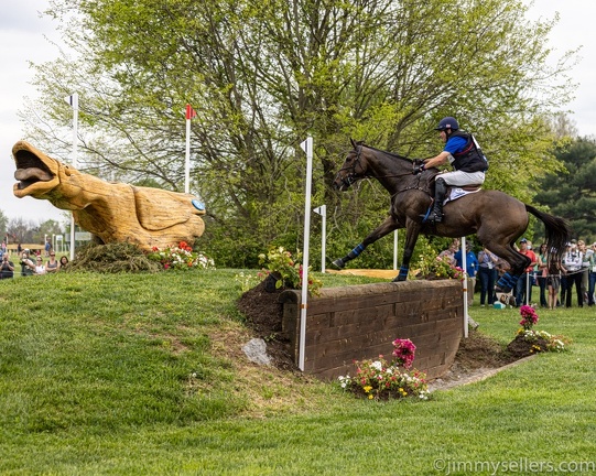 2022-05-smoky-mountain-kentucky-horses-3