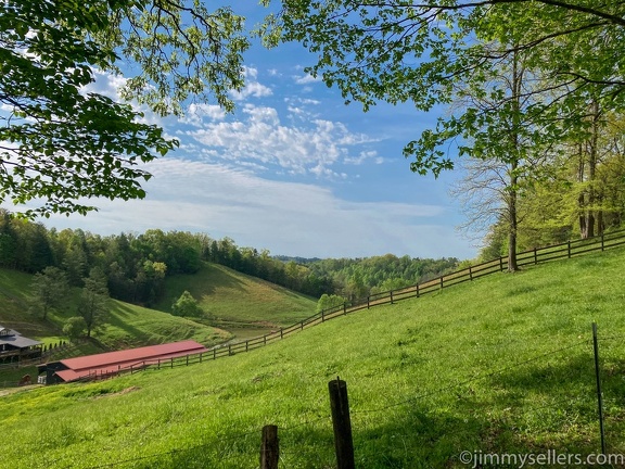 2022-05-smoky-mountain-kentucky-horses-24