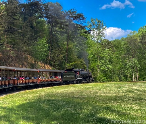 2022-05-smoky-mountain-kentucky-horses-30