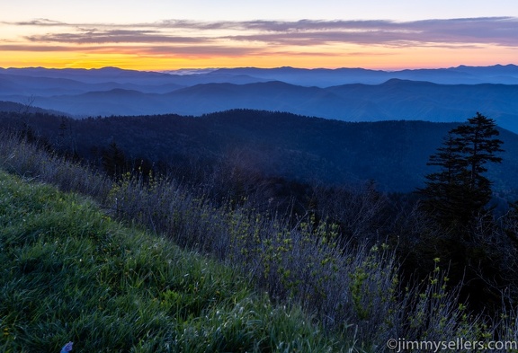 2022-05-smoky-mountain-kentucky-horses-42