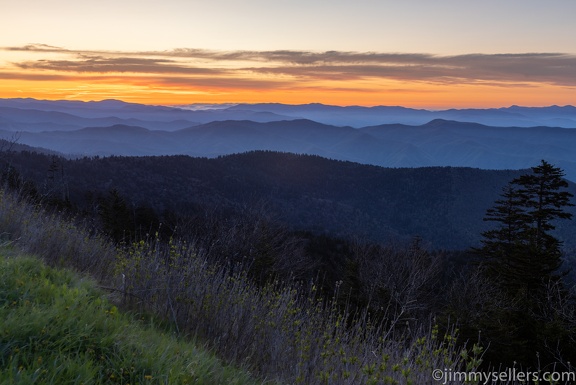 2022-05-smoky-mountain-kentucky-horses-43