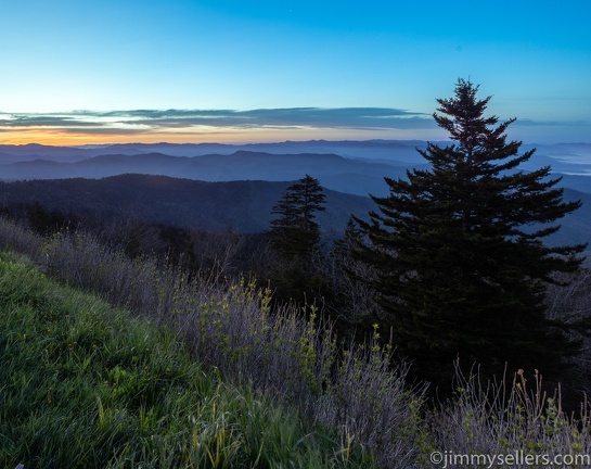 2022-05-smoky-mountain-kentucky-horses-44