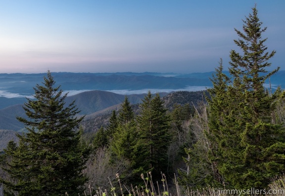 2022-05-smoky-mountain-kentucky-horses-47