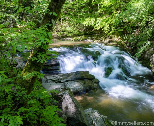 2022-05-smoky-mountain-kentucky-horses-63