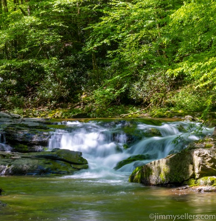 2022-05-smoky-mountain-kentucky-horses-64