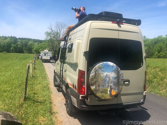 2022-05-smoky-mountain-kentucky-horses-77