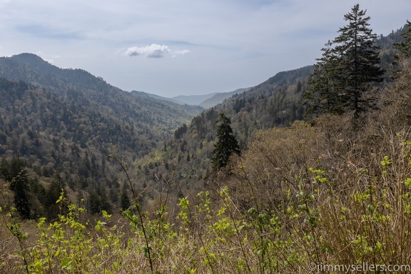 2022-05-smoky-mountain-kentucky-horses-80