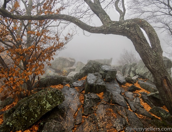 2022-11-05-western-md-hike-1