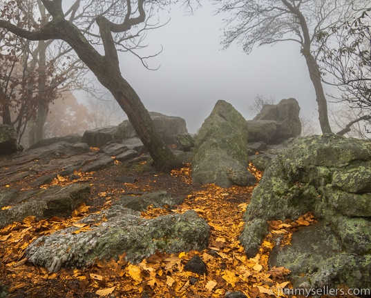 2022-11-05-western-md-hike-4