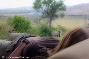 Elephants over the mountains