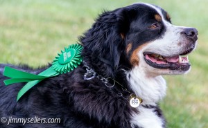 Grand Marshall Charlie