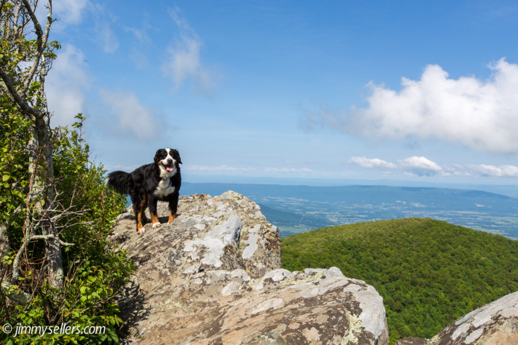 2014-05-Shenandoah-358