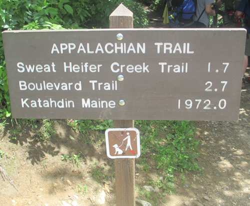 Appalachian_Trail