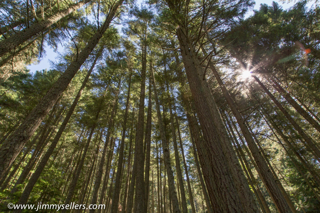 2014-07-Oregon-Washington-July-2014-768