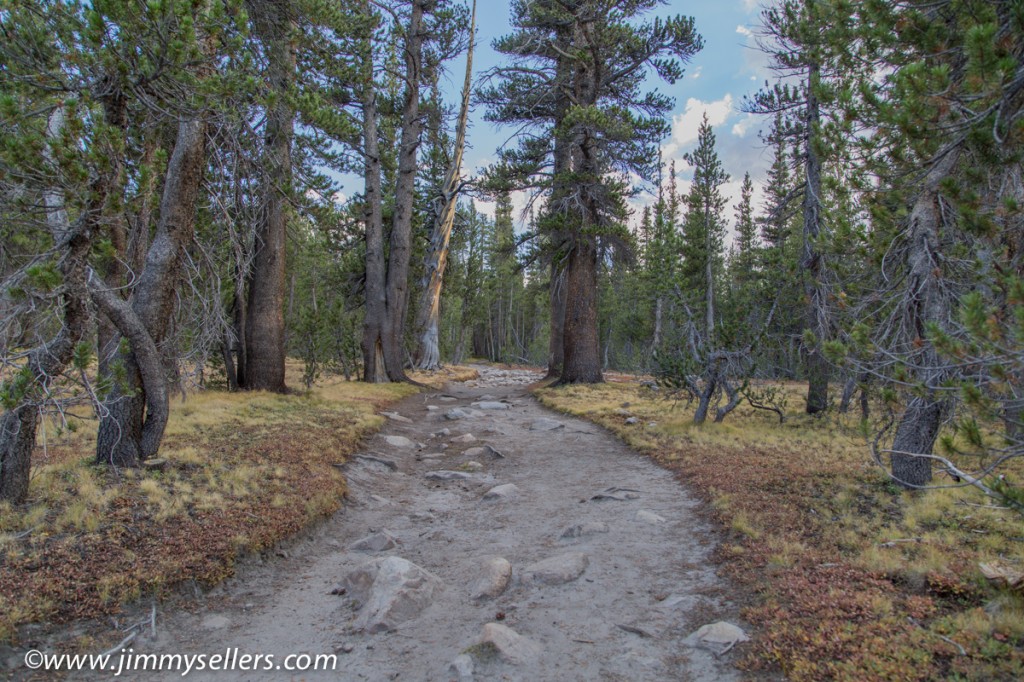 2014-09-Yosemite-567