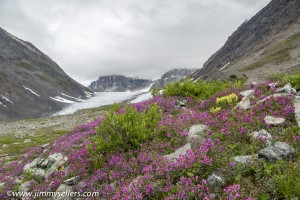 Alaska-2015-07-2377