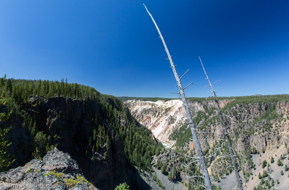 2020-08-Yellowstone-trip-west-45