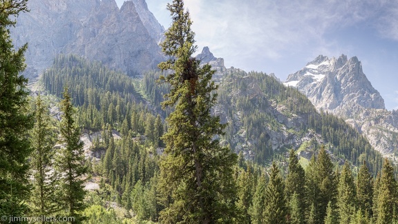 2020-08-Yellowstone-trip-west-317-Pano