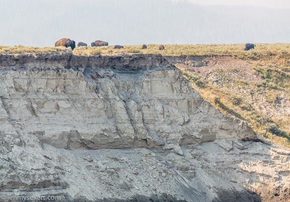 2020-08-Yellowstone-trip-west-786