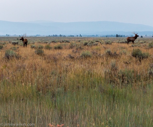 2020-08-Yellowstone-trip-west-1087