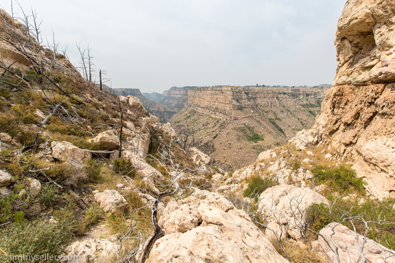 2020-08-Yellowstone-trip-west-1104