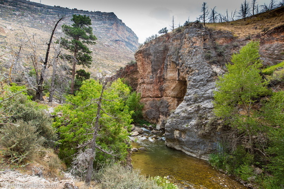 2020-08-Yellowstone-trip-west-1121