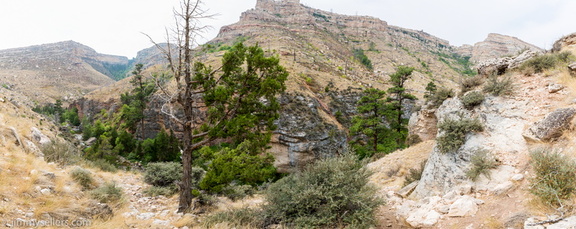 2020-08-Yellowstone-trip-west-1140-Pano