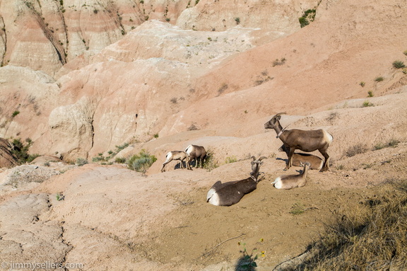 2020-08-Yellowstone-trip-west-1658