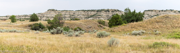 2020-08-Yellowstone-trip-west-1771-Pano