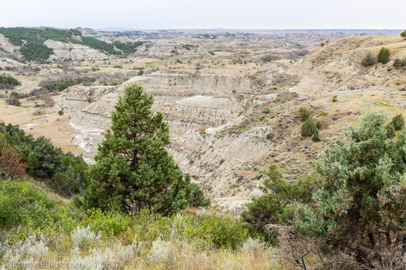 2020-08-Yellowstone-trip-west-1781