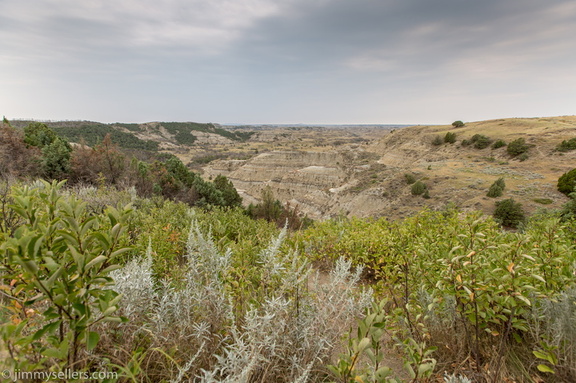 2020-08-Yellowstone-trip-west-1782