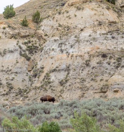 2020-08-Yellowstone-trip-west-1809