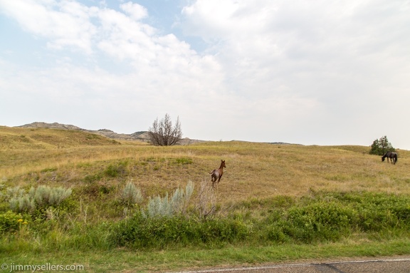 2020-08-Yellowstone-trip-west-1860