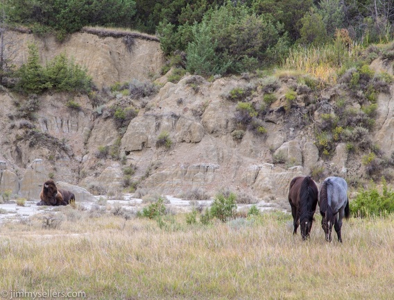 2020-08-Yellowstone-trip-west-1862