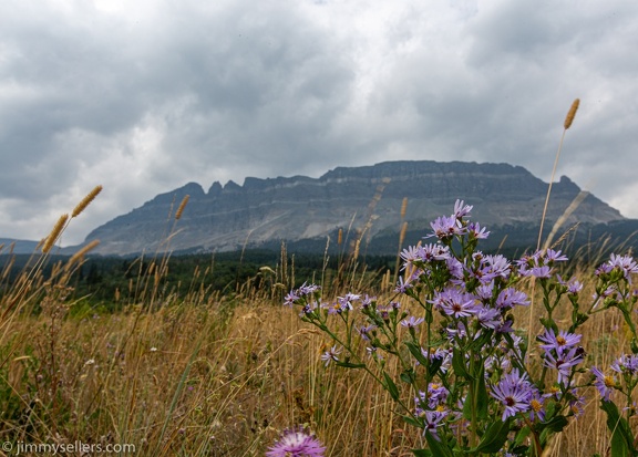 2021-08-Glacier-Roadtrip-202