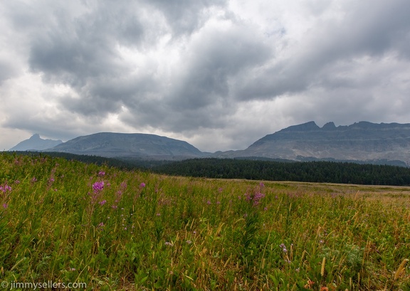 2021-08-Glacier-Roadtrip-210-HDR