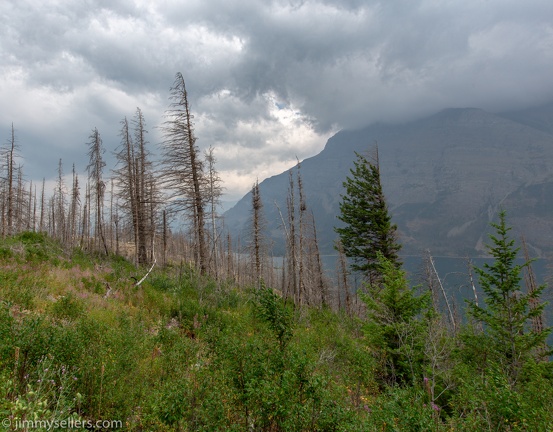 2021-08-Glacier-Roadtrip-218