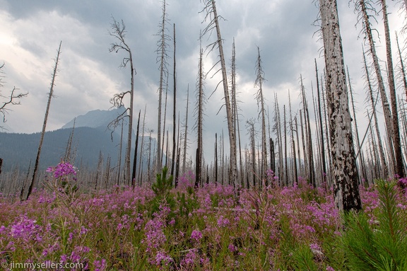 2021-08-Glacier-Roadtrip-265