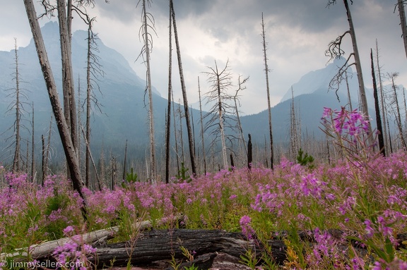 2021-08-Glacier-Roadtrip-267-HDR