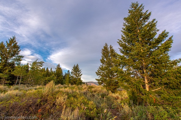 2021-08-Glacier-Roadtrip-366-HDR