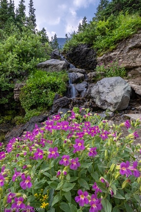 2021-08-Glacier-Roadtrip-1373-HDR