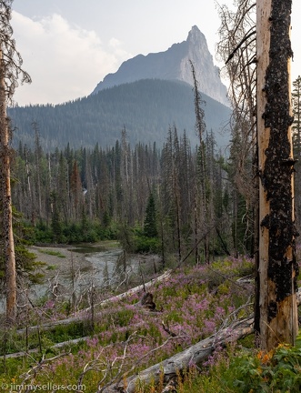 2021-08-Glacier-Roadtrip-1817-HDR