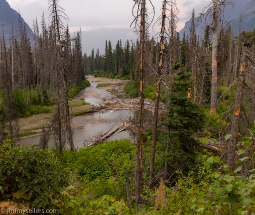 2021-08-Glacier-Roadtrip-1877-HDR