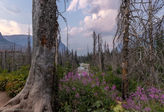 2021-08-Glacier-Roadtrip-1883-HDR