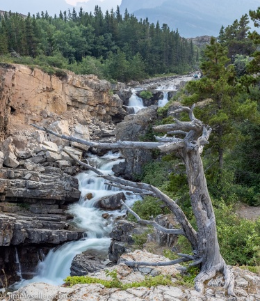 2021-08-Glacier-Roadtrip-2257-HDR