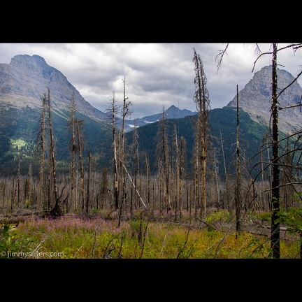 2021-08-Glacier-Roadtrip-2324